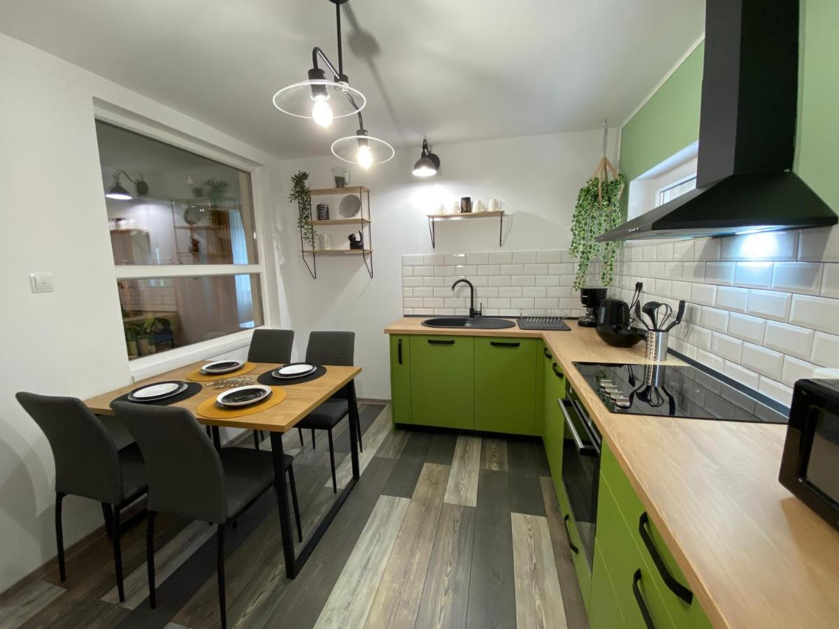 Evergreen Apartment Timişoara