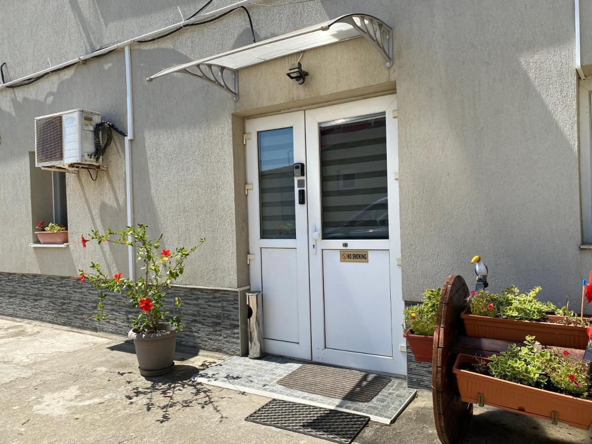 Apartment Evergreen Timişoara